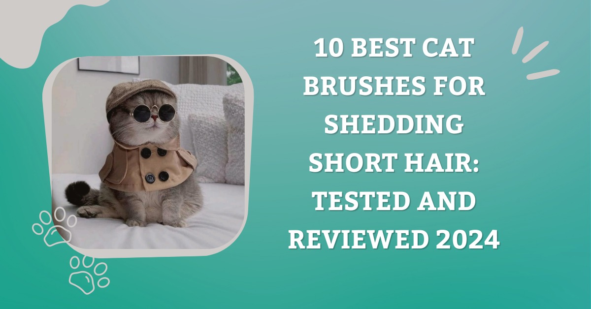 10 Best Cat Brushes for Shedding Short Hair: Tested and Reviewed 2024