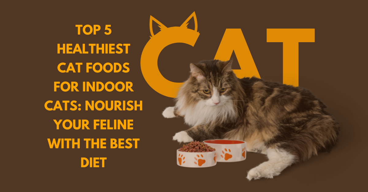 Top 5 Healthiest Cat Foods for Indoor Cats: Nourish Your Feline with the Best Diet