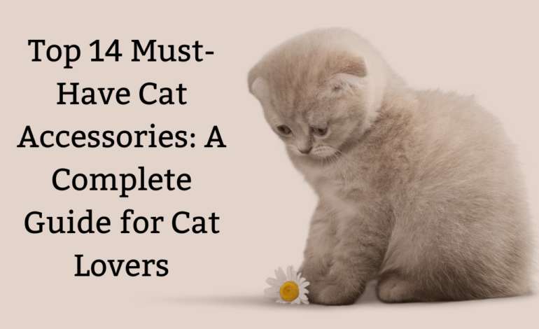 Top 14 Must-Have Cat Accessories: A Complete Guide for Cat Lovers