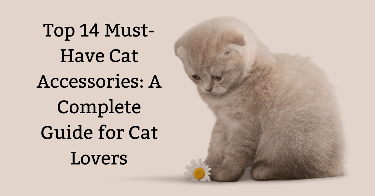 Top 14 Must-Have Cat Accessories: A Complete Guide for Cat Lovers