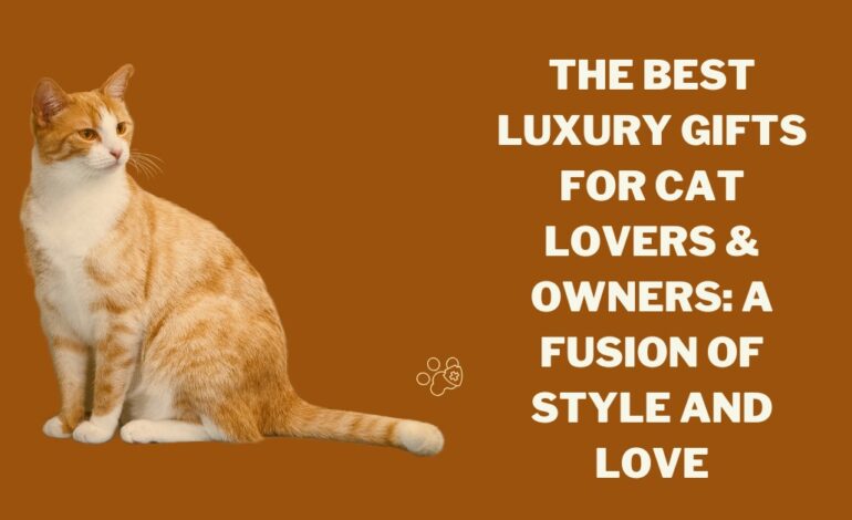 The Best Luxury Gifts for Cat Lovers & Owners: A Fusion of Style and Love