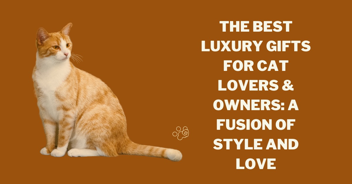 The Best Luxury Gifts for Cat Lovers & Owners: A Fusion of Style and Love