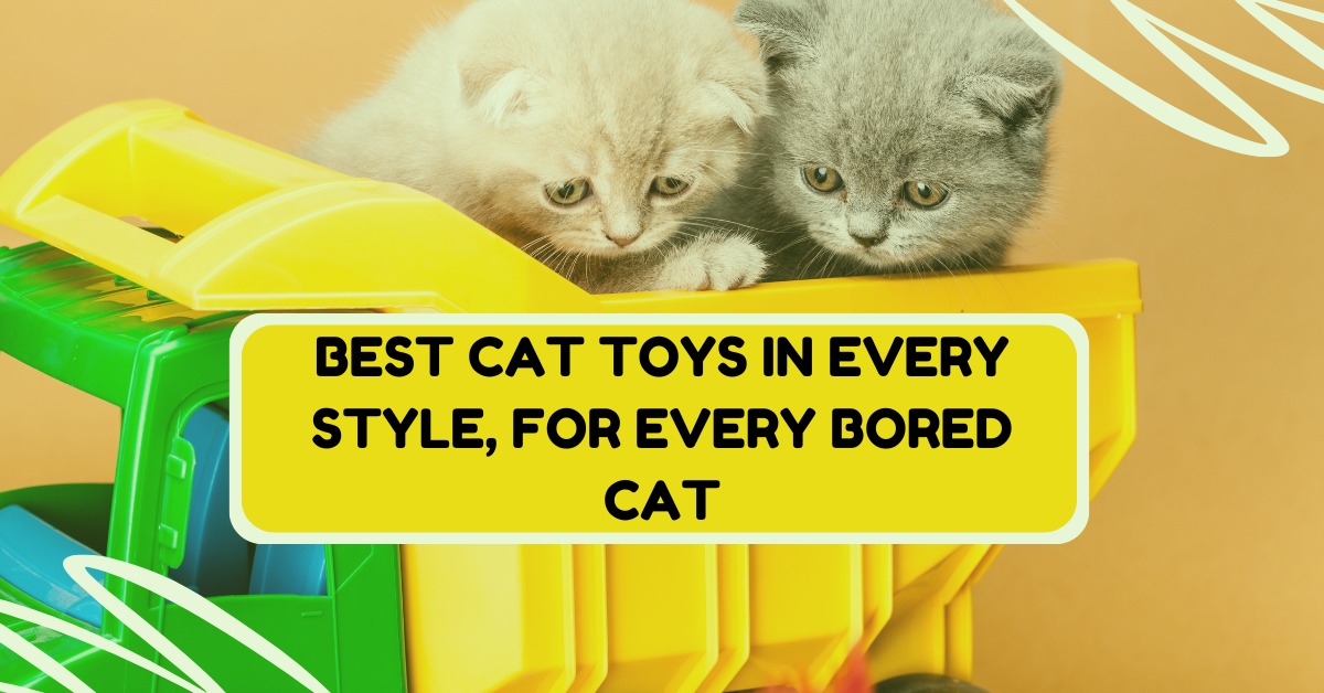 Best Cat Toys in Every Style, for Every Bored Cat