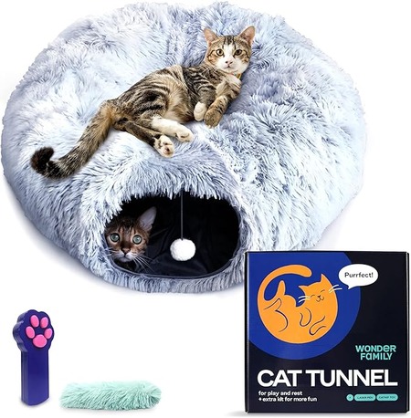 best accessories for kittens