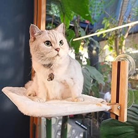 best accessories for cats 