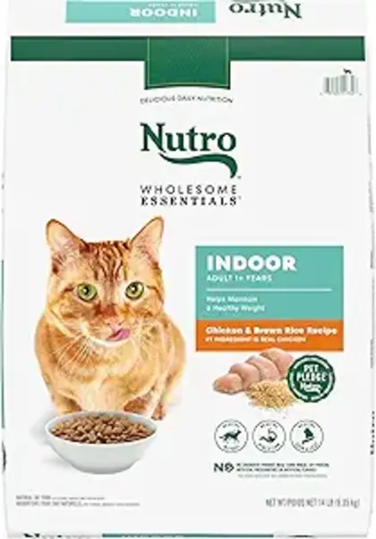 what is the healthiest cat food for indoor cats
