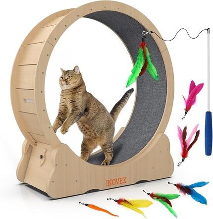 cat toys for lazy cats
