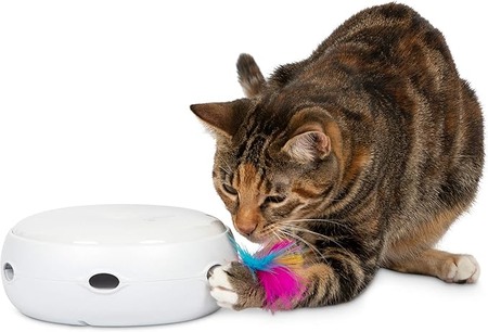 best interactive toys for Bengal cats 