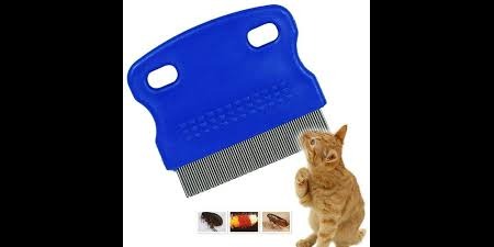 what brush to use for short hair cat