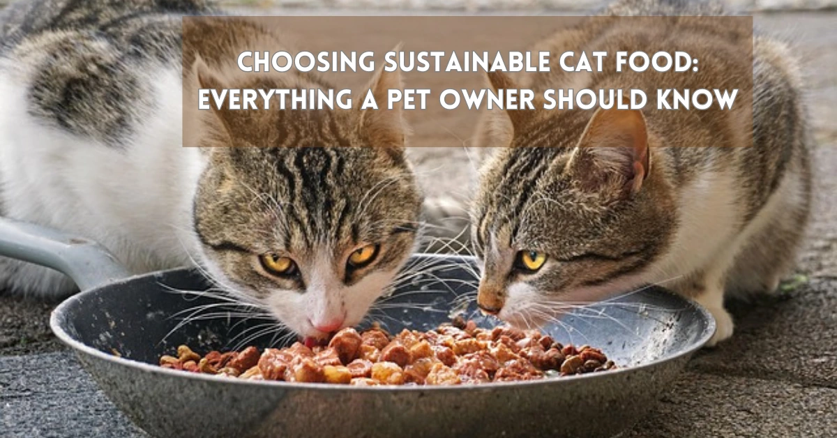Choosing Sustainable Cat Food: Everything a Pet Owner Should Know