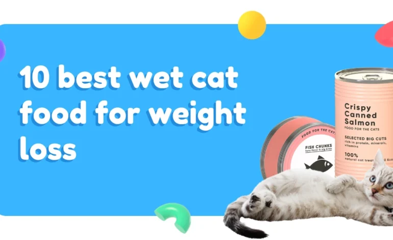 10 Best Wet Cat Food for Weight Loss
