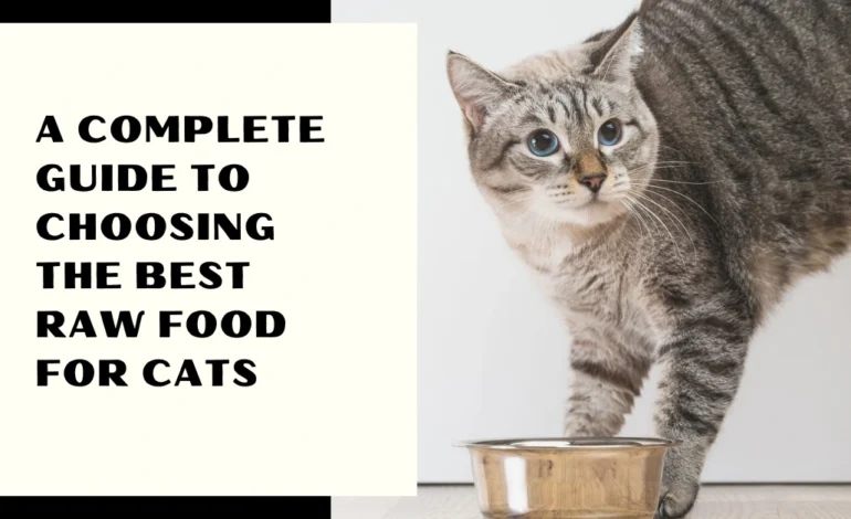 A Complete Guide to choosing the best raw food for cats