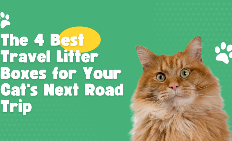 The 4 Best Travel Litter Boxes for Your Cat’s Next Road Trip