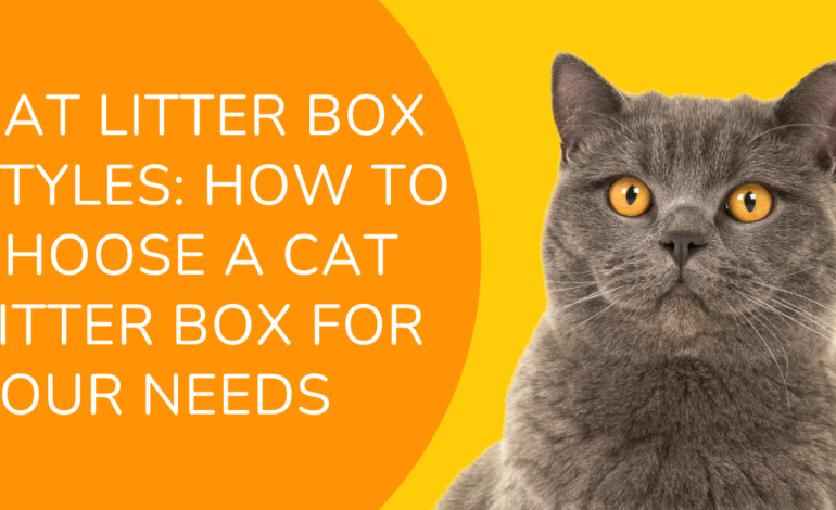 Cat Litter Box Styles: How To Choose a Cat Litter Box for Your Needs