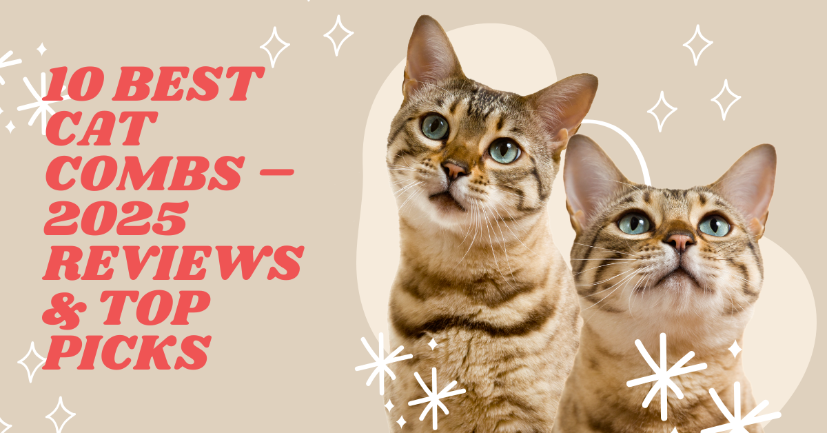 10 Best Cat Combs – 2025 Reviews & Top Picks