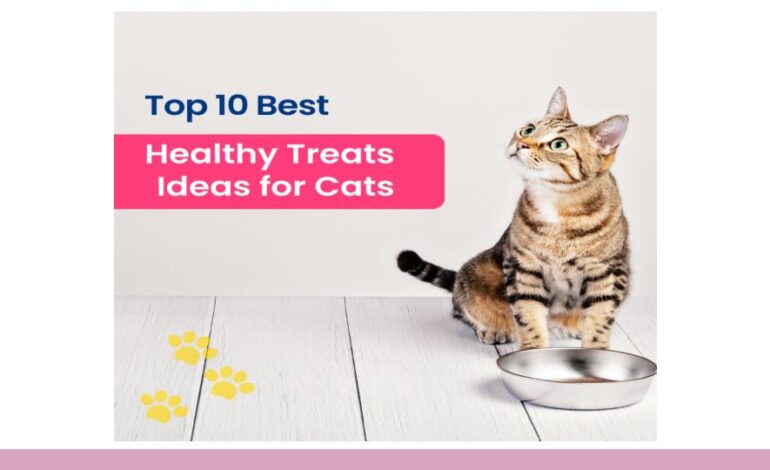 Top 10 Best Healthy Treats Ideas for Cats