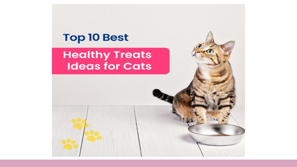 Top 10 Best Healthy Treats Ideas for Cats