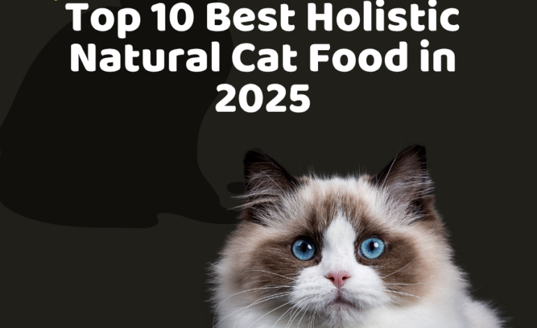 Top 10 Best Holistic Natural Cat Food in 2025