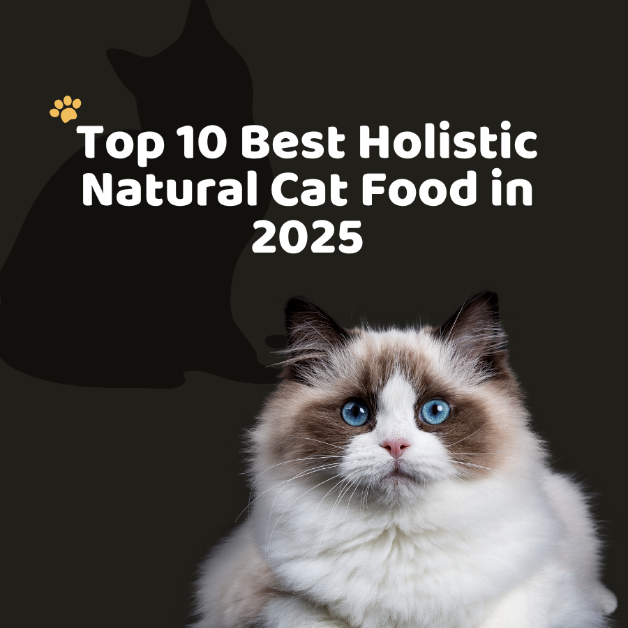 Top 10 Best Holistic Natural Cat Food in 2025