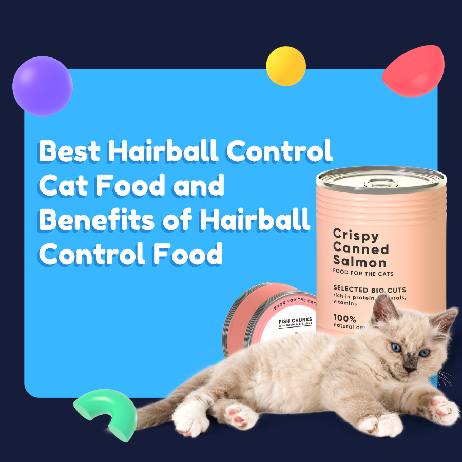 Best Hairball Control Cat Food and Benefits of Hairball Control Food