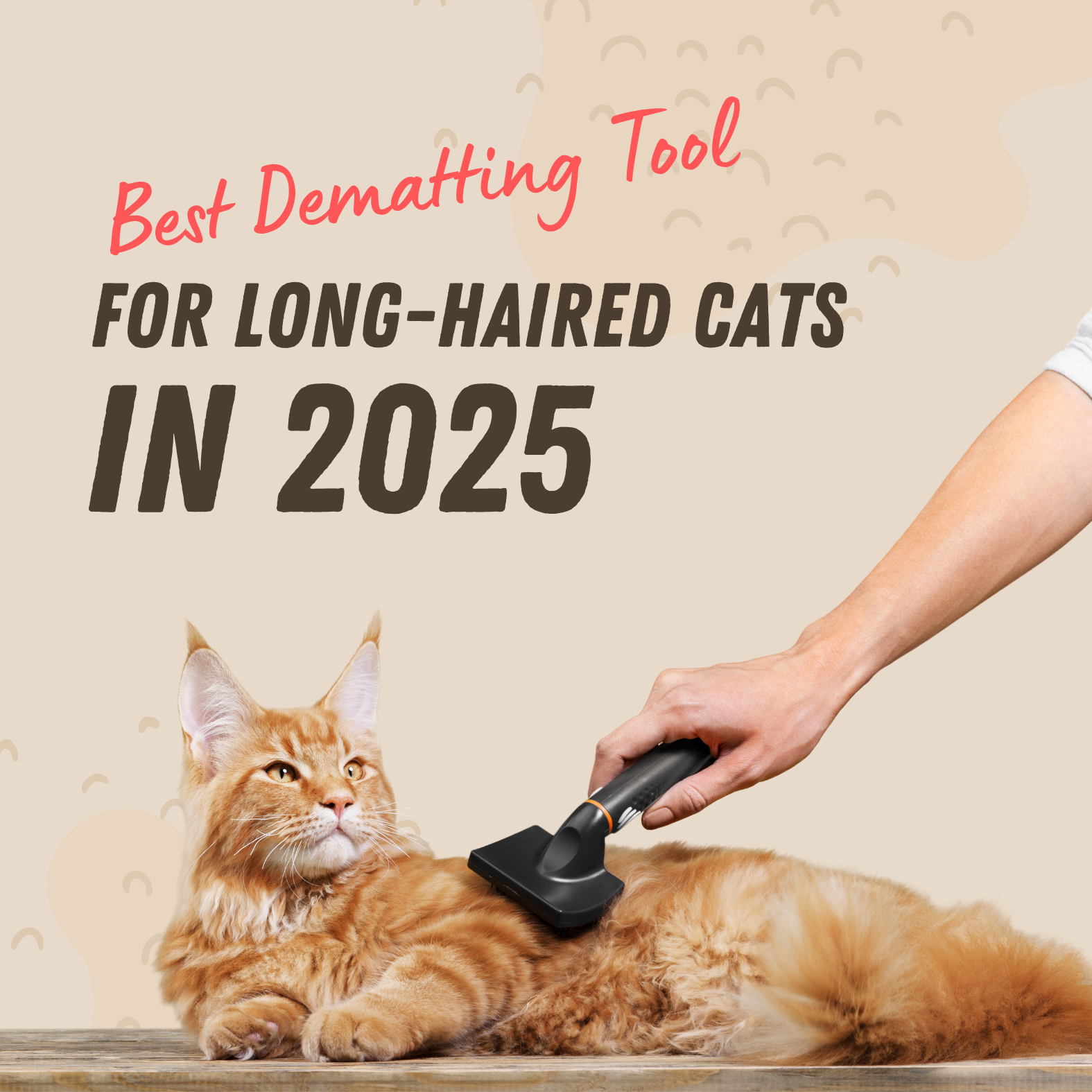 Best Dematting Tool for Long-Haired Cats in 2025