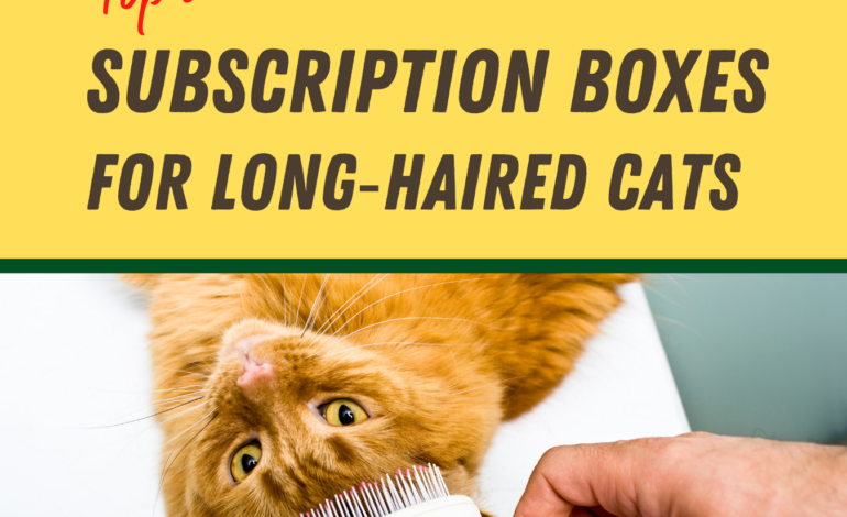 Top 5 Cat Grooming Subscription Boxes for Long‑Haired Cats