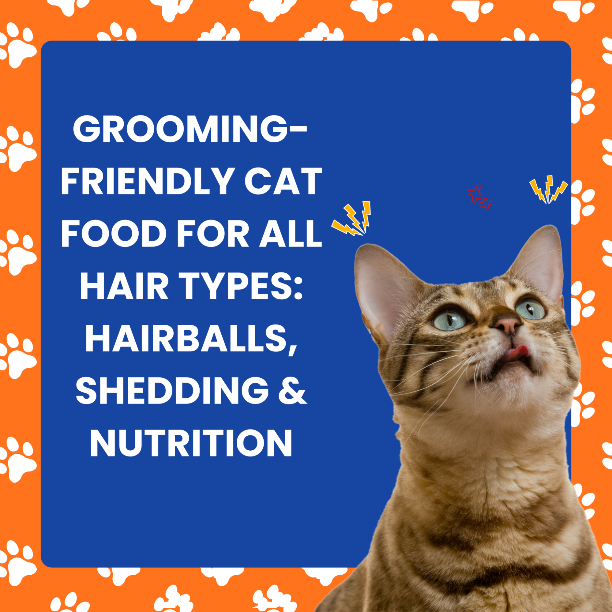 Grooming-Friendly Cat Food for All Hair Types: Hairballs, Shedding & Nutrition