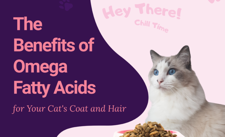 The Benefits of Omega Fatty Acids for Your Cat’s Coat and Hair