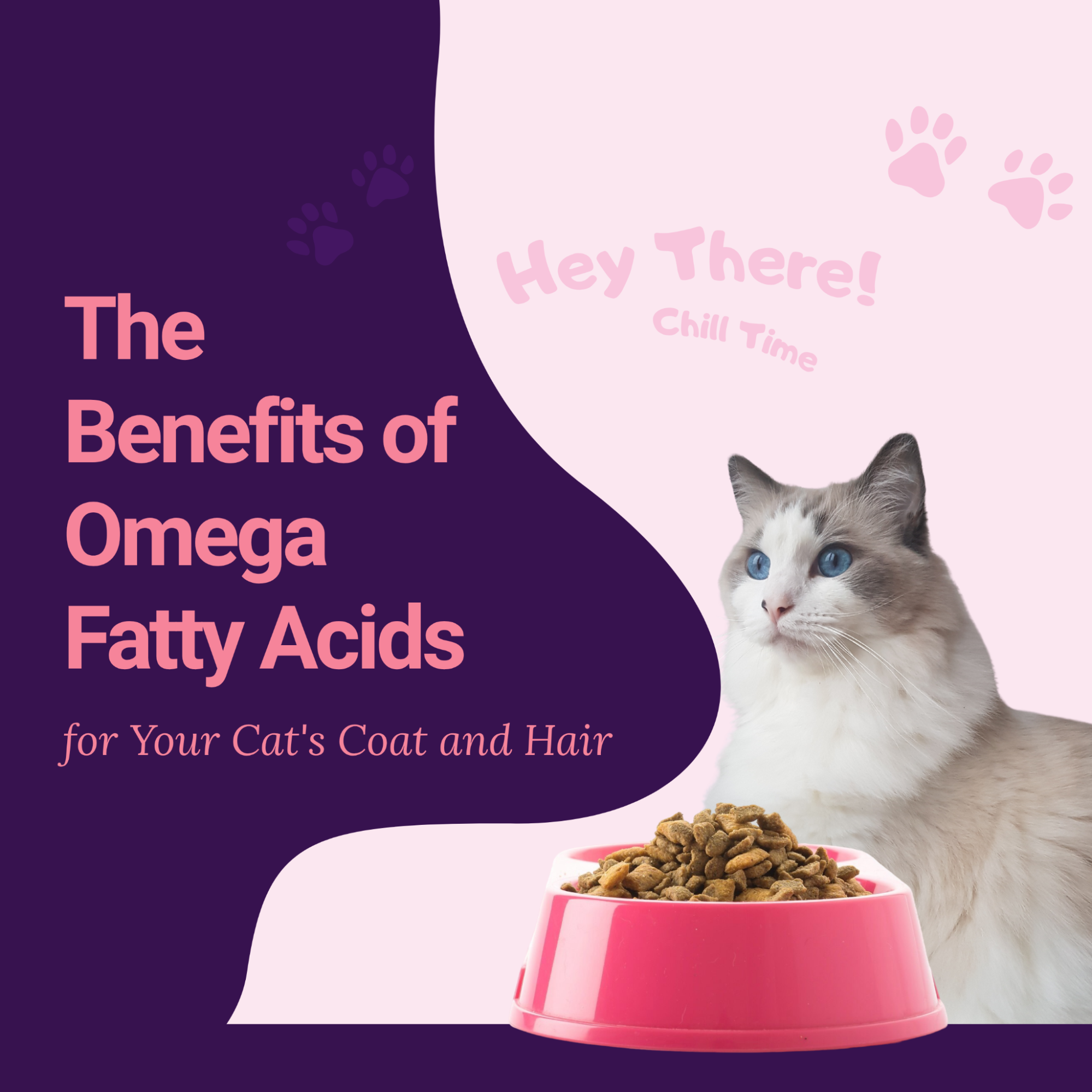 The Benefits of Omega Fatty Acids for Your Cat’s Coat and Hair