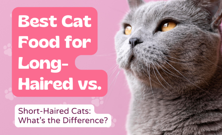 Best Cat Food for Long-Haired vs. Short-Haired Cats: What’s the Difference?