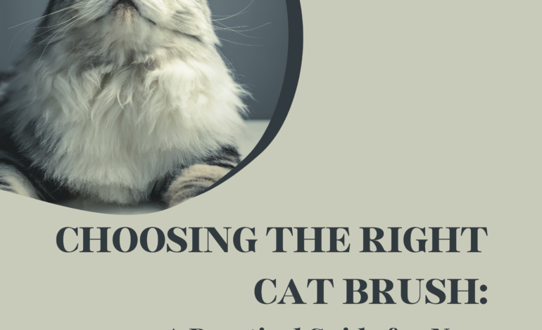 Choosing the Right Cat Brush: A Practical Guide for New Owners in Ashburn