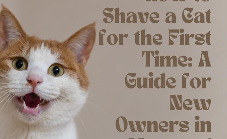 How to Shave a Cat for the First Time: A Guide for New Owners in Montreal