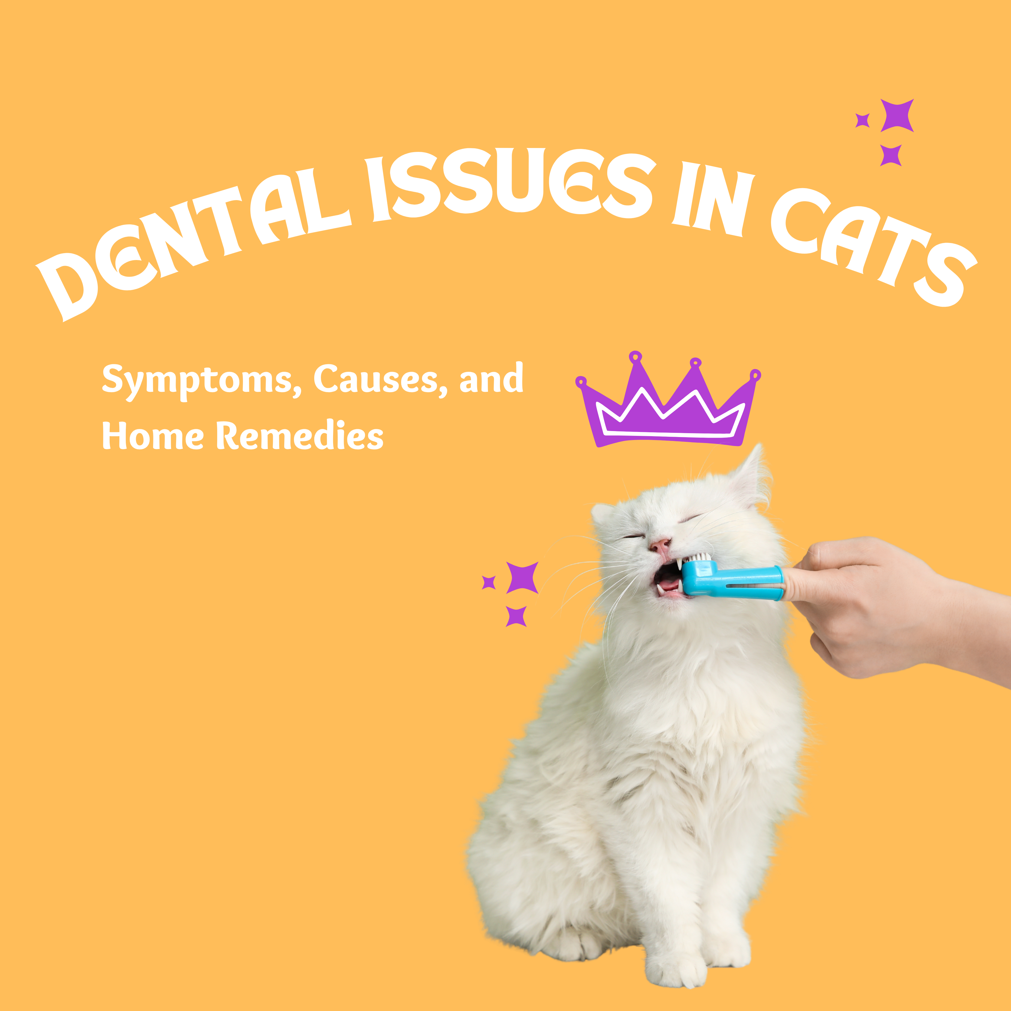 Dental Issues in Cats: Symptoms, Causes, and Home Remedies