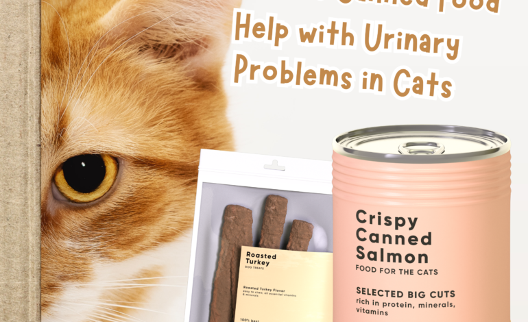 How Does Canned Food Help with Urinary Problems in Cats