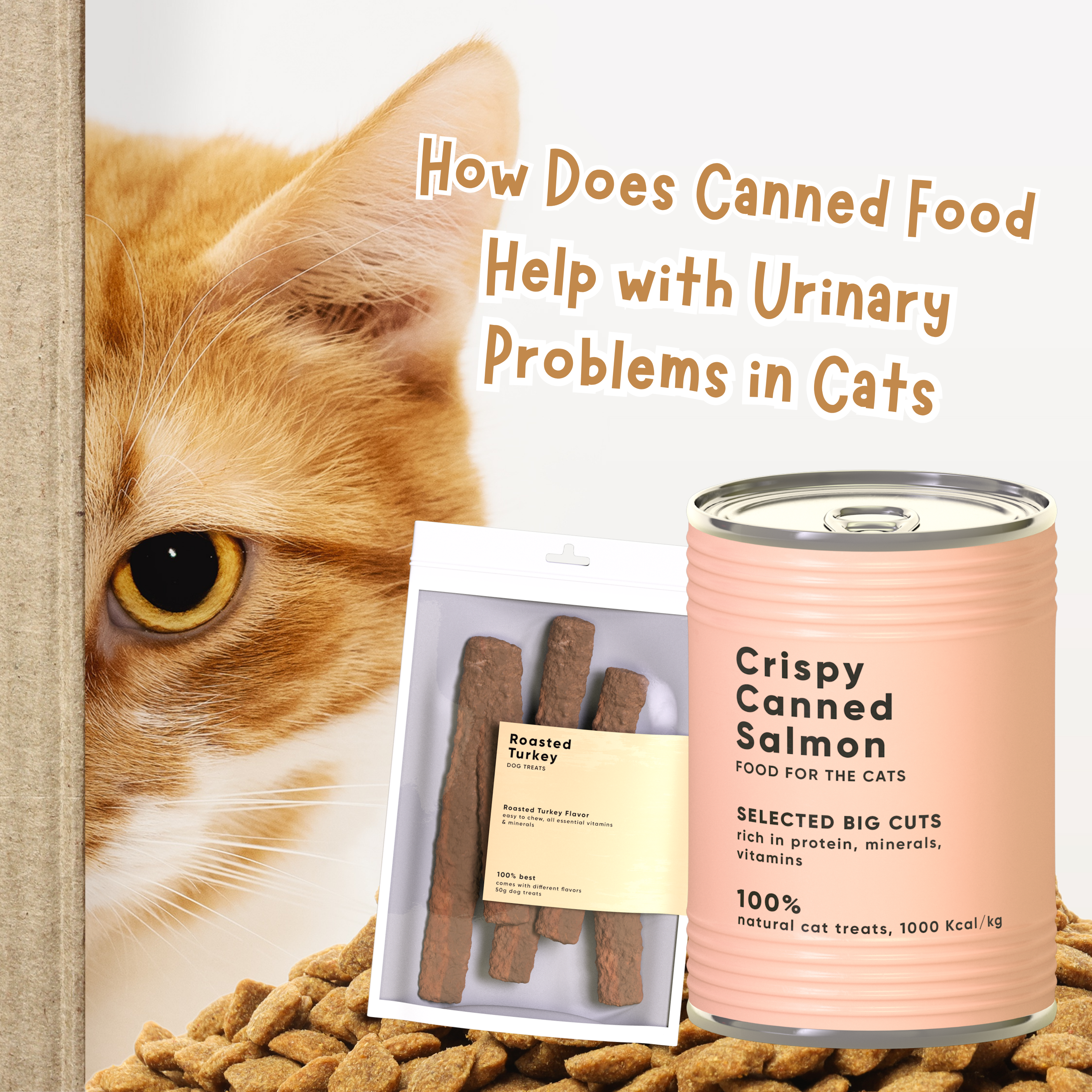 How Does Canned Food Help with Urinary Problems in Cats