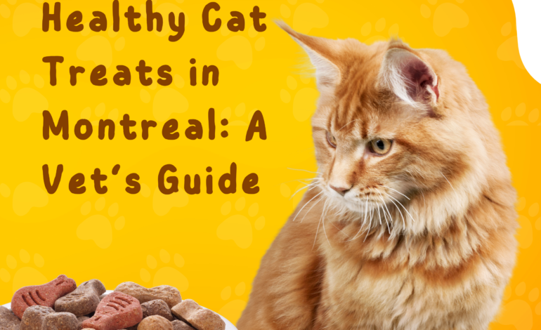 How to Choose Healthy Cat Treats in Montreal: A Vet’s Guide