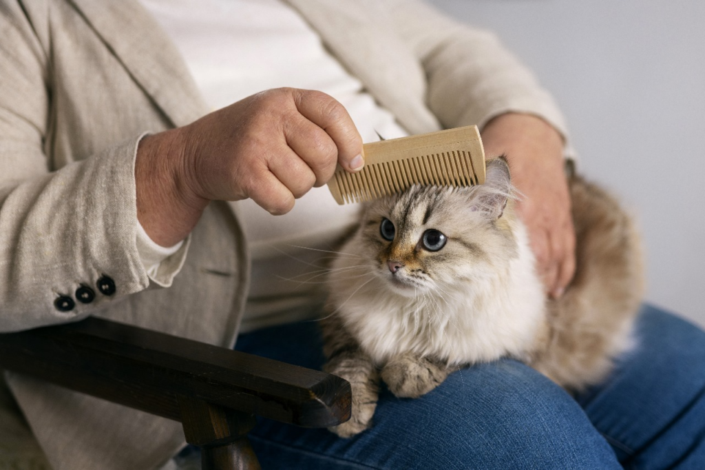 short haired cat grooming tips