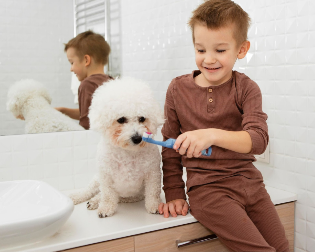 best way to brush a cat's teeth
