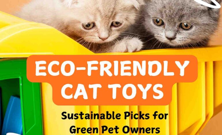 Eco-Friendly Cat Toys: Sustainable Picks for Green Pet Owners