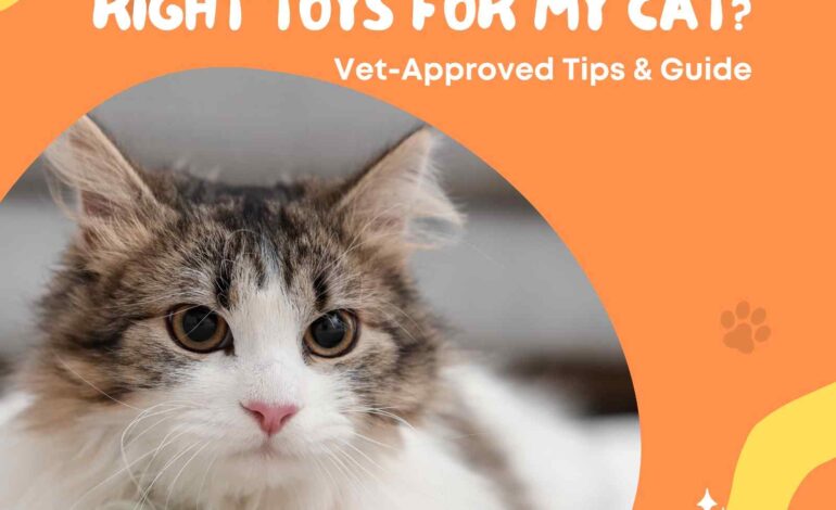 How Do I Choose the Right Toys for My Cat Vet-Approved Tips & Guide