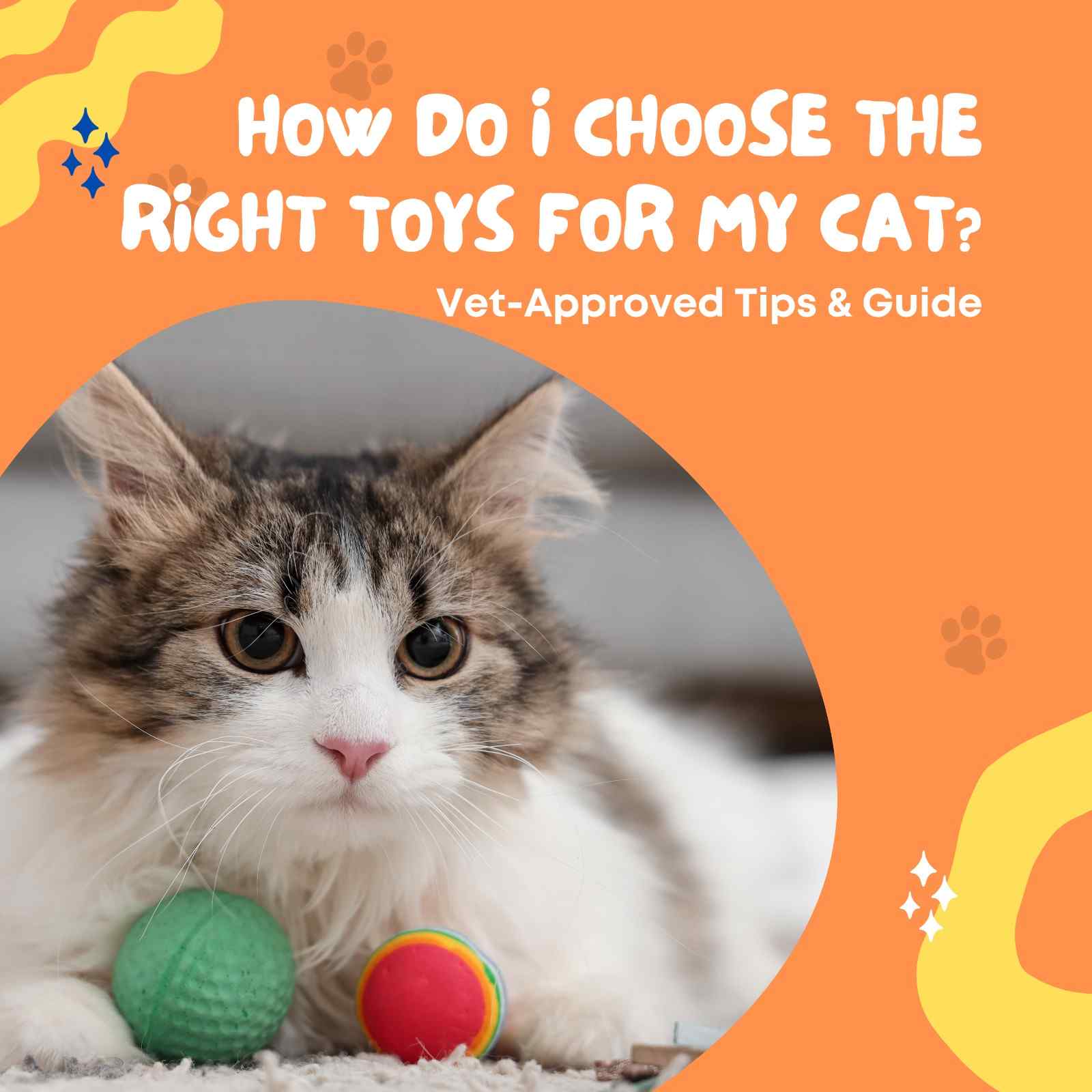 How Do I Choose the Right Toys for My Cat? Vet-Approved Tips & Guide