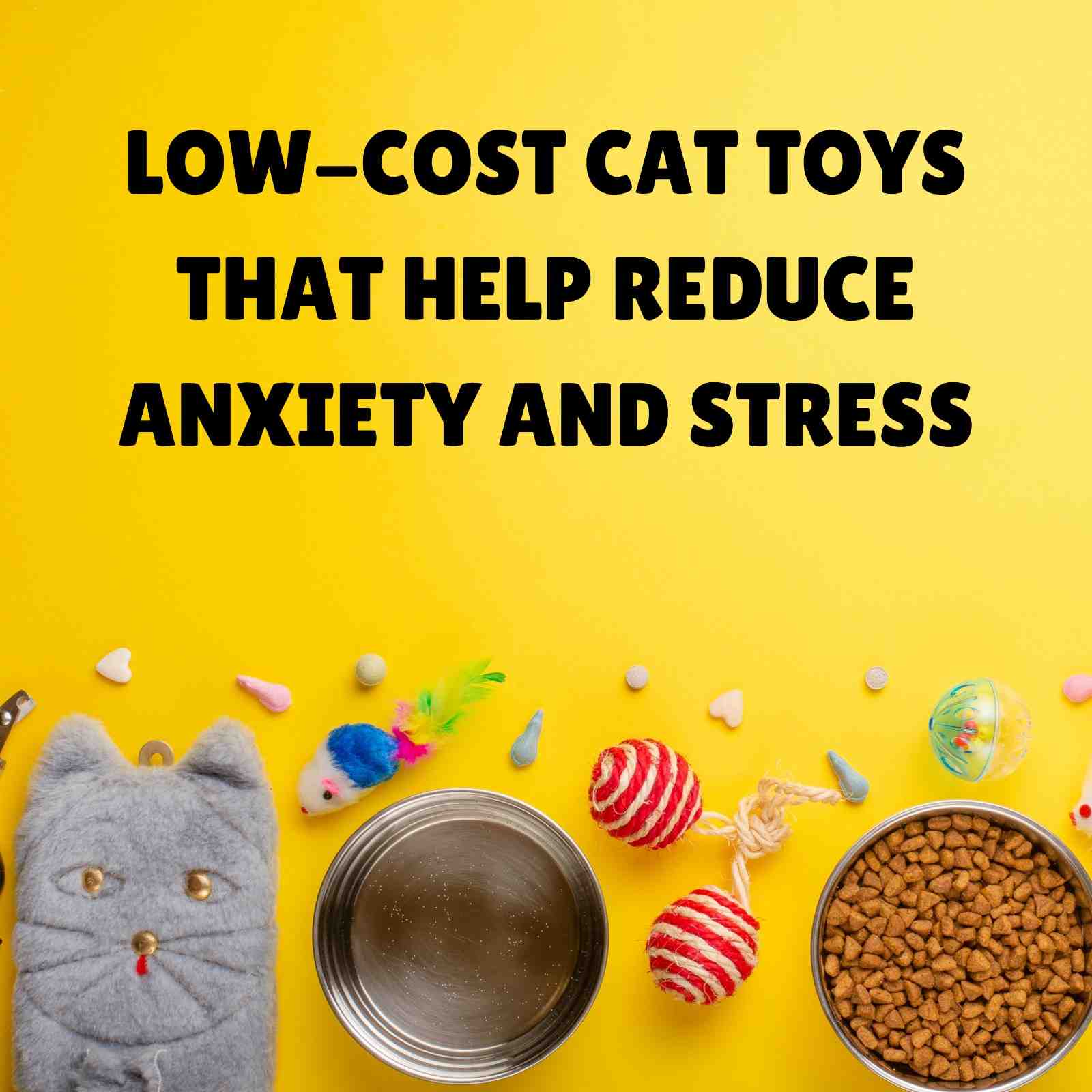 Low-Cost Cat Toys That Help Reduce Anxiety and Stress