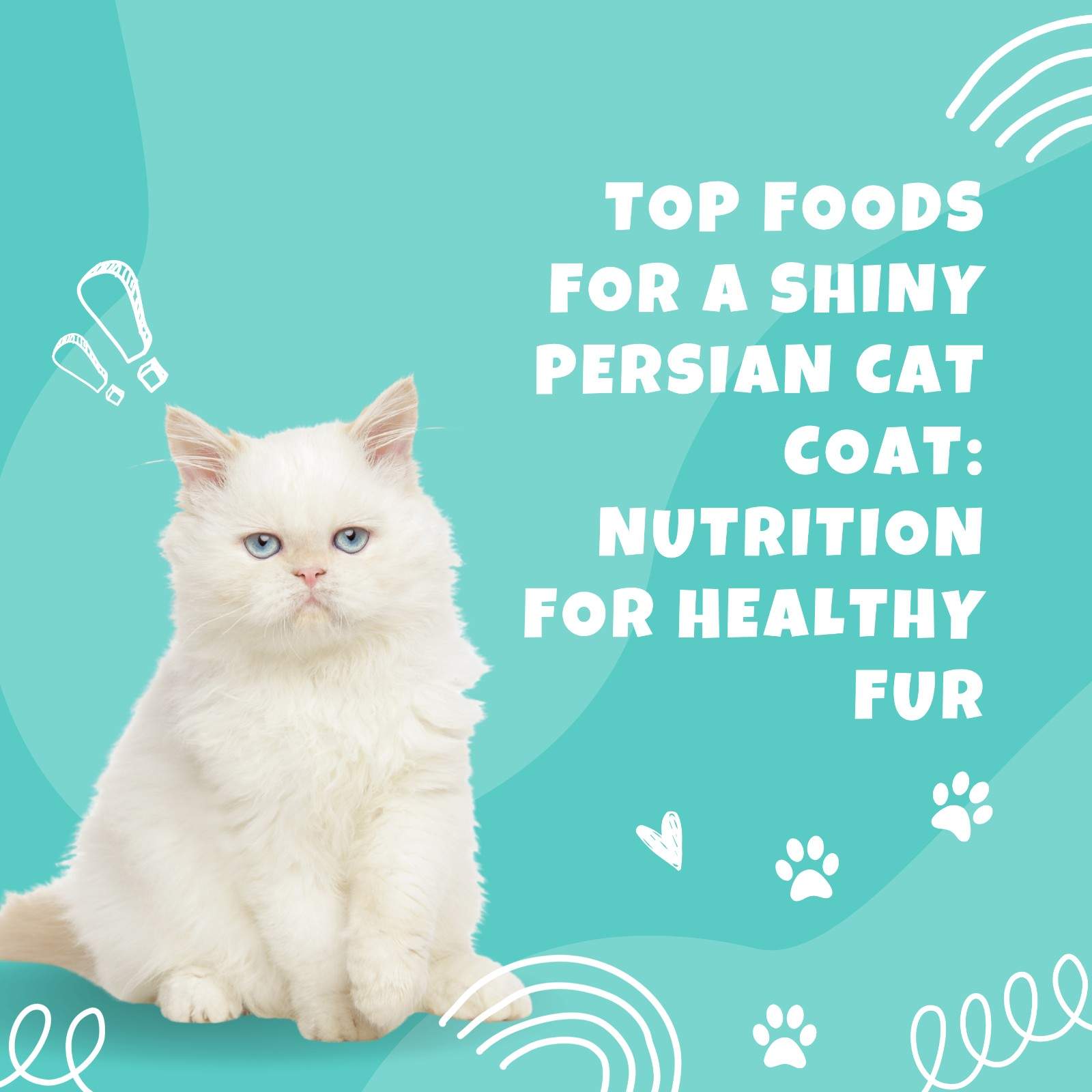 Top Foods for a Shiny Persian Cat Coat: Nutrition for Healthy Fur