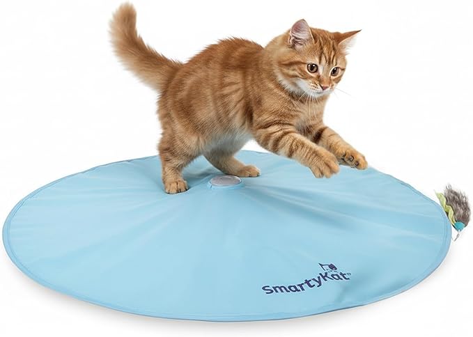 best interactive cat toys
