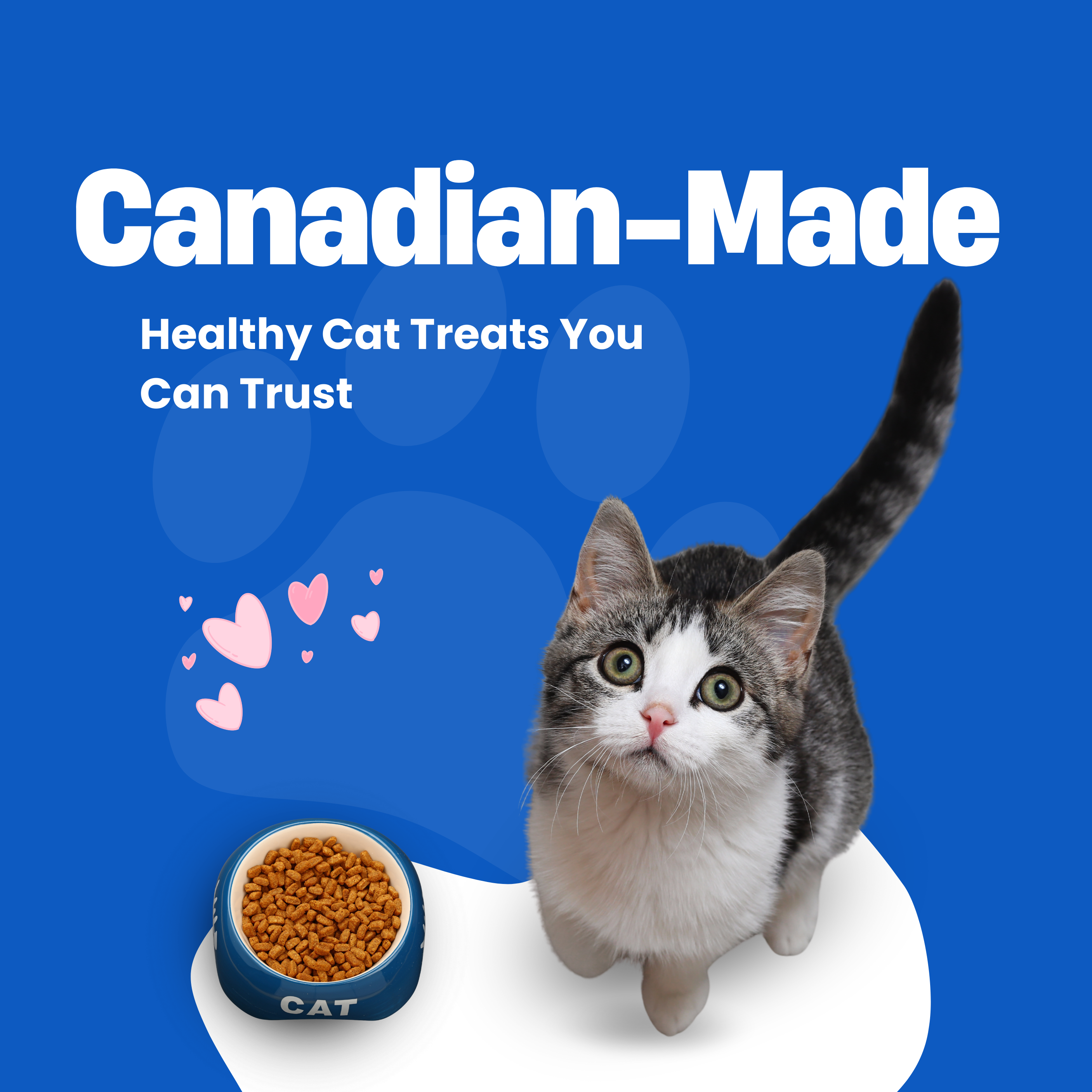 Canadian-Made Healthy Cat Treats You Can Trust