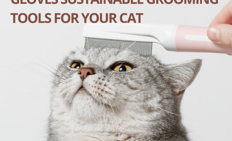 Eco-Friendly Grooming Gloves – Sustainable Grooming Tools for Your Cat