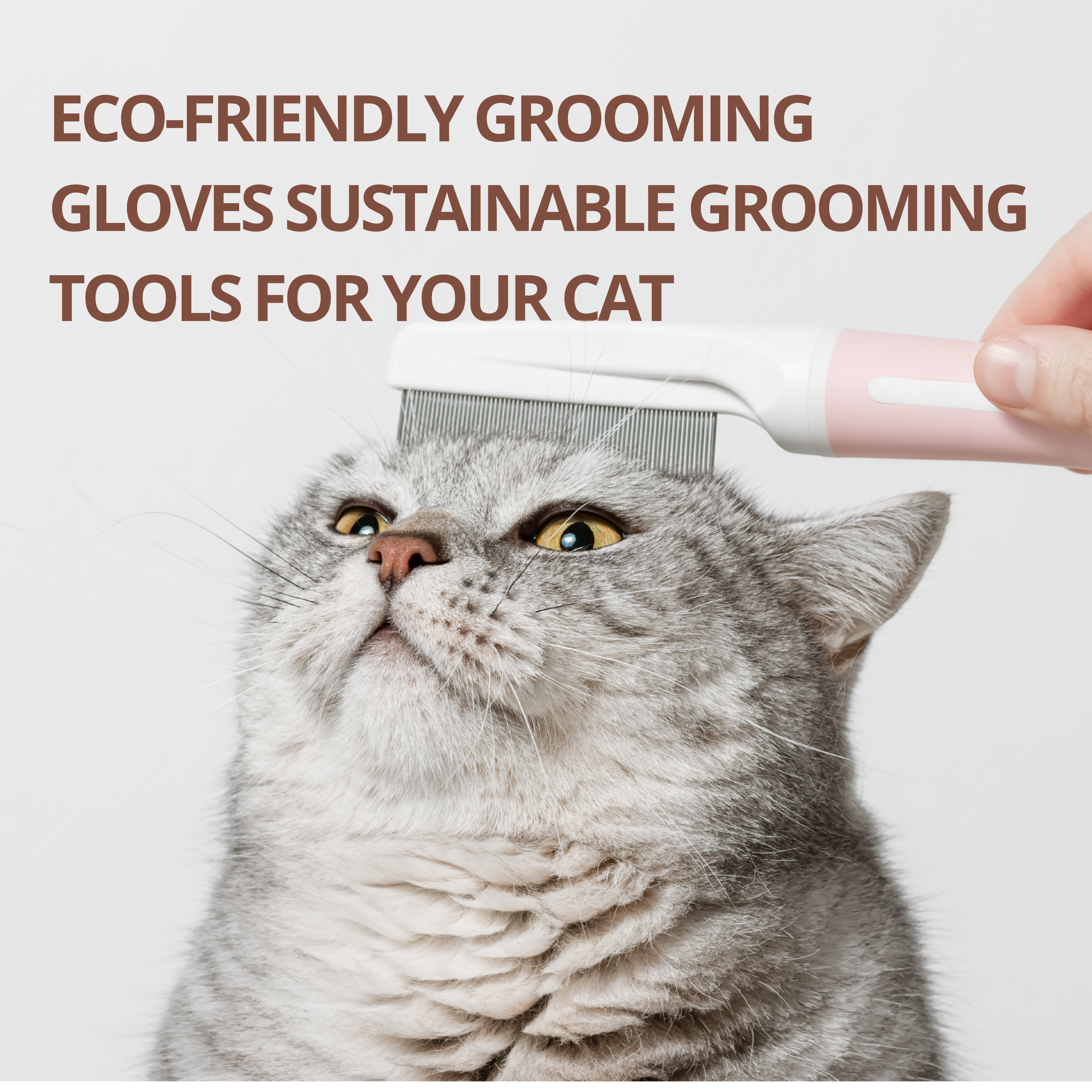 Eco-Friendly Grooming Gloves – Sustainable Grooming Tools for Your Cat