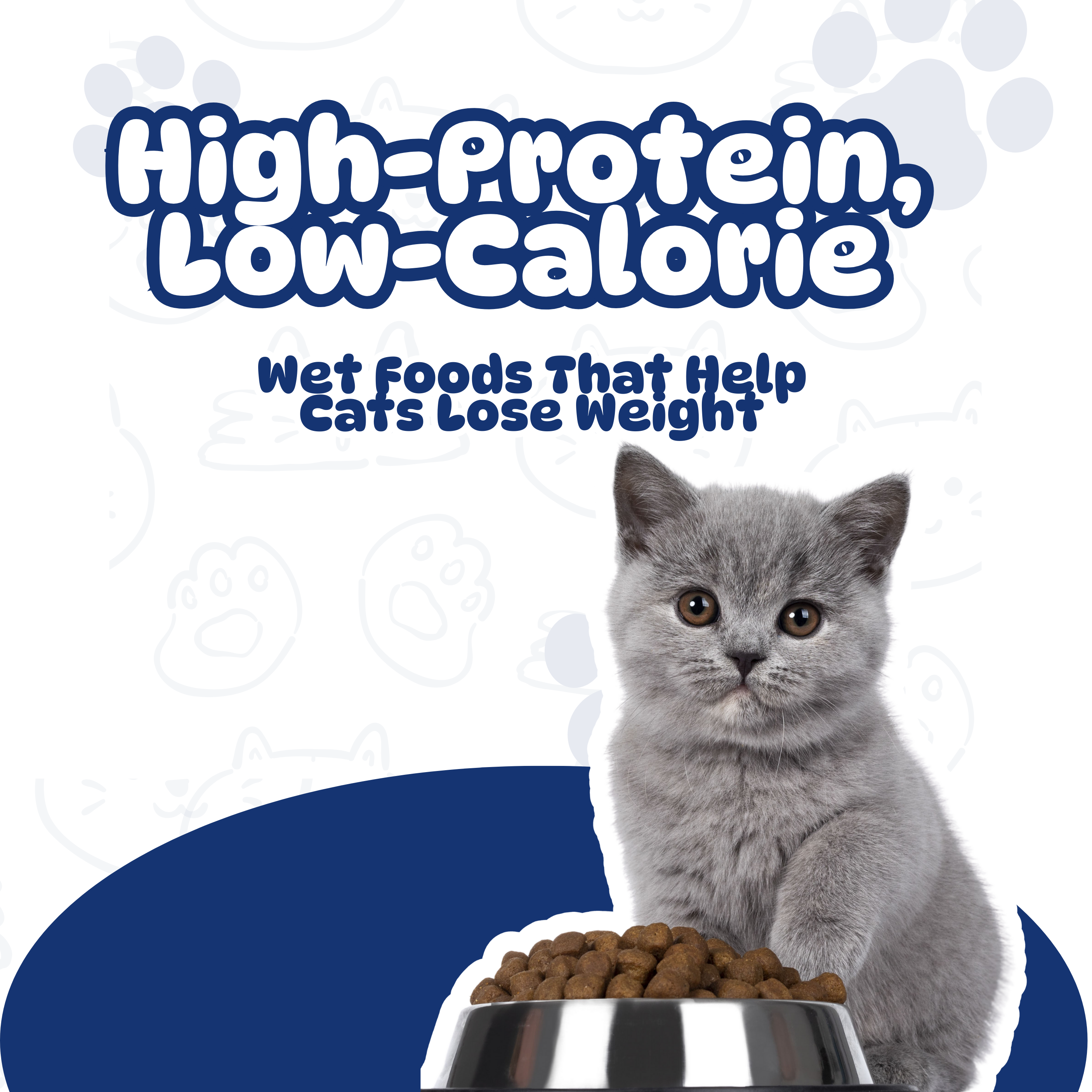 High-Protein, Low-Calorie Wet Foods That Help Cats Lose Weight
