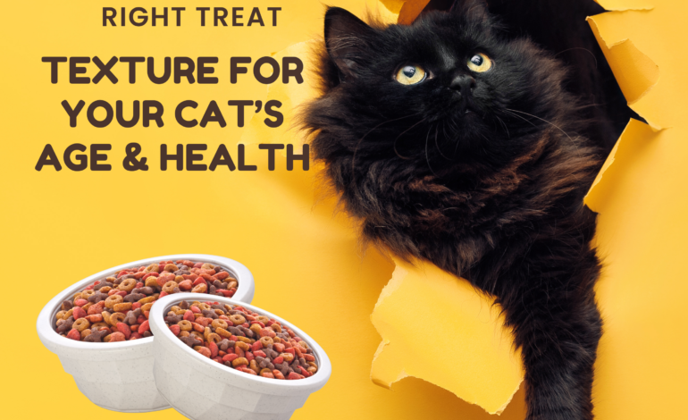 How to Choose the Right Treat Texture for Your Cat’s Age & Health