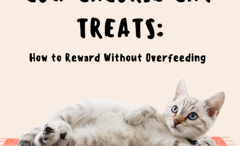 Low-Calorie Cat Treats How to Reward Without Overfeeding